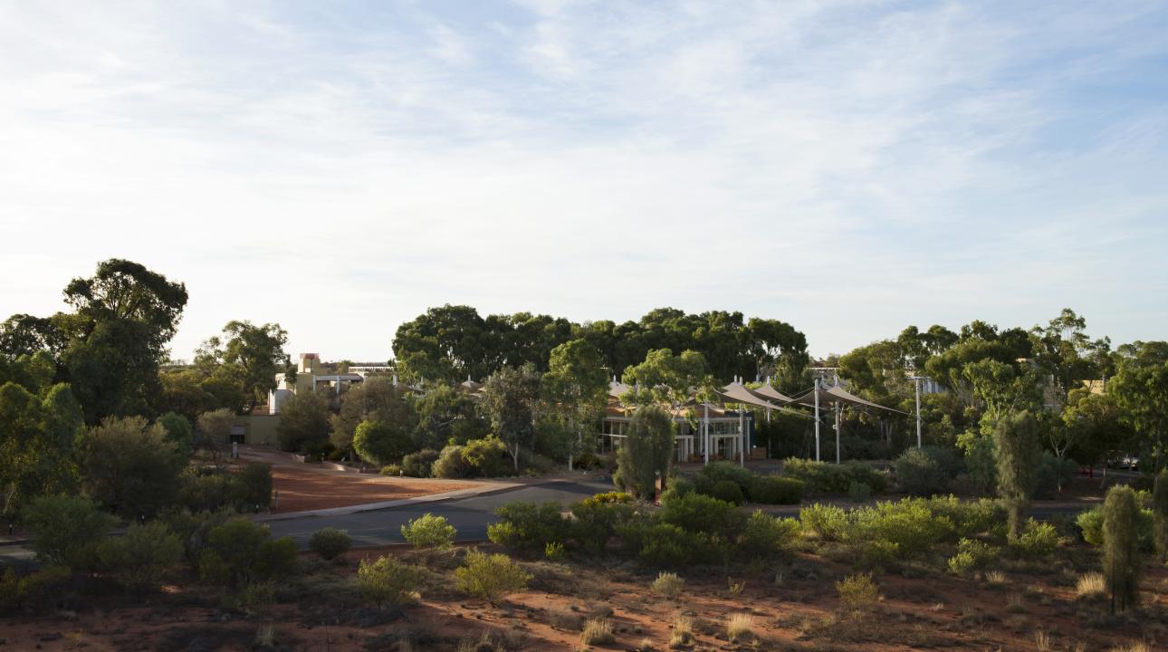 the resort