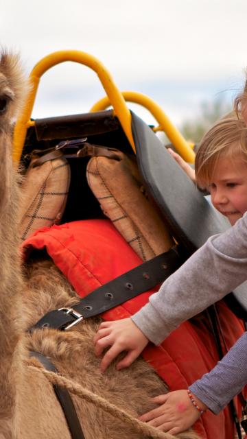 camel and kids