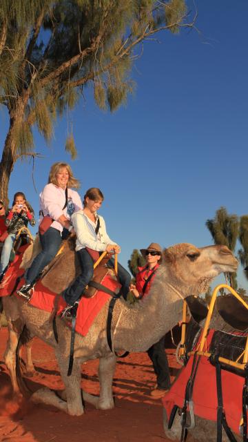 camel rides