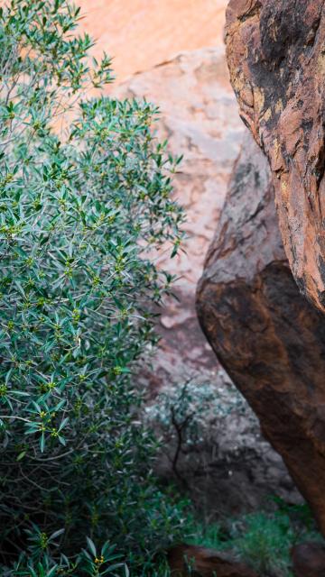 Uluru rock face