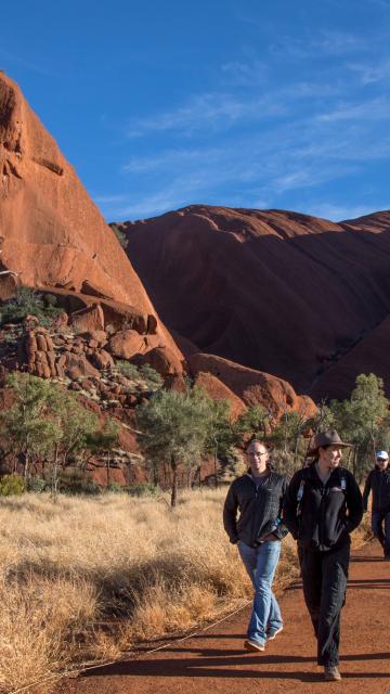 Visitors on a path on the trek