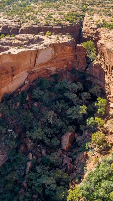 Kings Canyon & Outback Panoramas