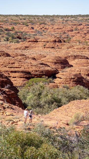 Kings Canyon & Outback Panoramas