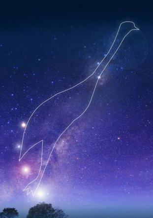 Emu in the Sky constellation